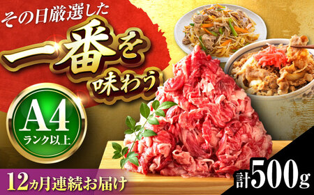 [全12回定期便]博多和牛 切り落とし 500g[BGAB100]牛肉 大容量 牛肉 大容量
