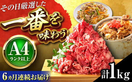 [全6回定期便][A4〜A5]博多和牛 切り落とし 1kg(500g×2P)[BGAB102] 切り落とし 大容量 定期便