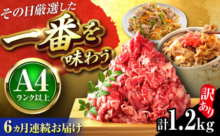 [全6回定期便][訳あり]博多和牛 切り落とし 1.2kg(600g×2P)[BGAB093] 訳あり 牛肉 訳あり牛肉