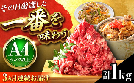 [全3回定期便][A4〜A5]博多和牛 切り落とし 1kg(500g×2P)[BGAB101]切り落とし 大容量切り落とし