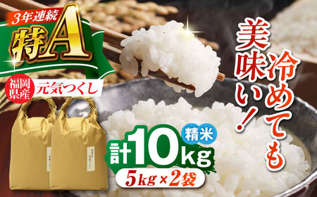 �������Y ���C���� ���� 10kg (5kg×2��)[BGAF019]���C����