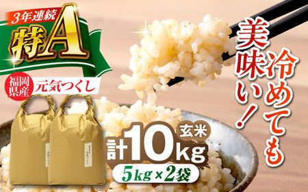 �������Y ���C���� ���� 10kg (5kg×2��)[BGAF020]���C����