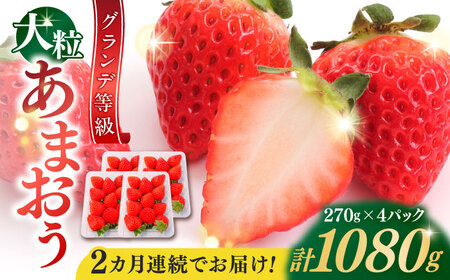 [全2回定期便][2026年1月中旬より順次発送] あまおう いちご 1080g[BGBQ003]