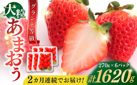 yS2ցzy2026N3{菇z ܂  1620g[BGBQ004]