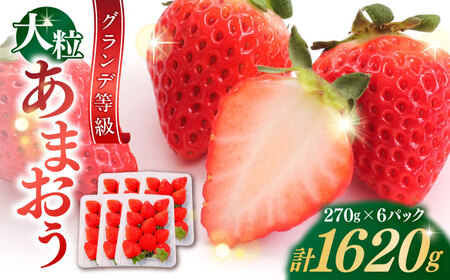 y2026N3{菇z ܂  1620g[BGBQ002]