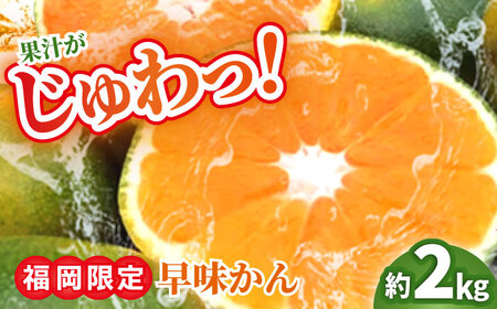 [9月中旬より順次発送][福岡限定]オリジナルブランド「早味かん」約2kg [BGAG013] みかん ミカン