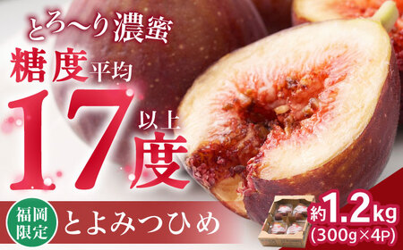[2025年8月上旬より順次発送]福岡産ブランド無花果 とよみつひめ 約300g×4パック[BGAG012] いちじく とよみつひめ