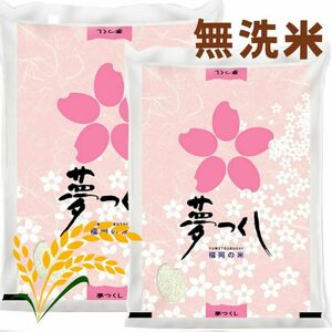 [先行予約][令和7年産]夢つくし 無洗米 計10kg [BGAA087] 無洗米 無洗米 無洗米 無洗米 無洗米
