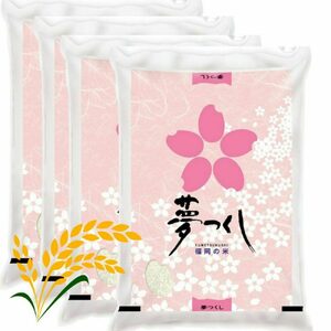 [先行予約][令和7年産]夢つくし 白米 計20kg [BGAA088] 大容量 大容量 大容量 大容量 大容量