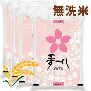 [先行予約][令和7年産]夢つくし 無洗米 計20kg [BGAA089] 無洗米 大容量 大容量 大容量
