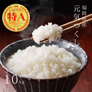 [先行予約][令和7年産]元気つくし白米10kg(5kg×2袋) [BGAA092]