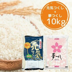 [先行予約][令和7年産]福岡県産米食べ比べ[白米]「夢つくし」と「元気つくし」セット計10kg[BGAA096]白米 食べ比べ 白米 食べ比べ
