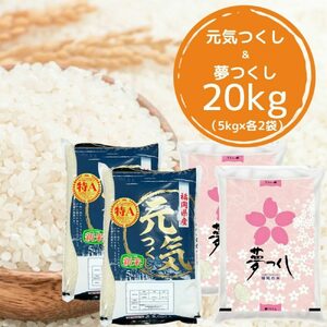 [先行予約][令和7年産]福岡県産米食べ比べ[白米]夢つくしと元気つくしセット 計20kg[BGAA098]白米 食べ比べ 白米 食べ比べ