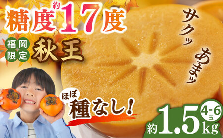 [2025年10月中旬より順次発送]福岡産ブランド 秋王柿 約1.5kg(4-6玉)[BGAG015] 柿 かき