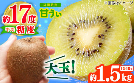 [2025年10月下旬より順次発送]キウイ「甘うぃ」約1.5kg(12-15玉)[BGAG017]キウイフルーツ