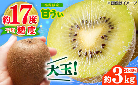[2025年10月下旬より順次発送]キウイ「甘うぃ」約3kg(24-30玉) [BGAG018]キウィフルーツ