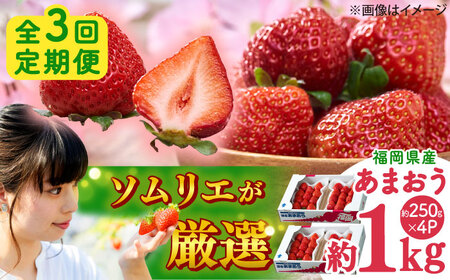 yS3ցzY ~܂ 250g×4P [BGAG042] 