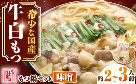 [厳選国産牛使用]博多もつ鍋 みそ味 2-3人前[BGAI022]国産牛もつなべ味噌