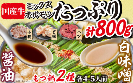「上田商店」工場直販 もつ鍋(醤油・白味噌/各4-5人前)[BGAD058]