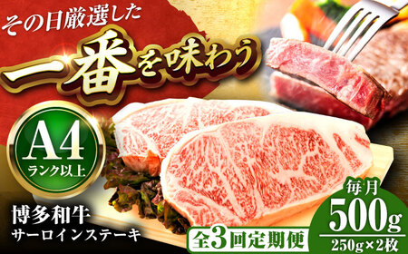 yS3ցzyA4-A5za T[CXe[L 500g(250g×2) [BGAB112]