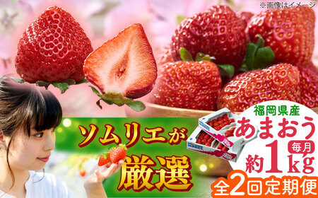 �y�S2�����ցz�����Y�y�t�z ���܂��� 4�p�b�N �g�x��/�썑�t���[�c�������[BGAG051]