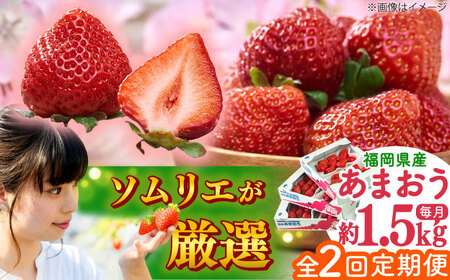 yS2ցzY t܂ 6P[BGAG052]܂