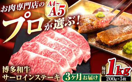 yS3ցza T[CXe[L 5 gx/vcX[BGAM089]