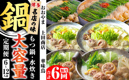 [隔月6回定期便]鍋大容量定期便 [BGAD080]鍋
