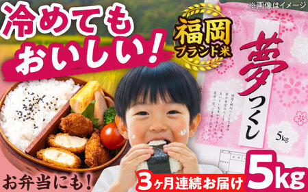 yS3ցzyߘa7NxYzV  5kg  LЃt@C[RN/gx[BGBV002]