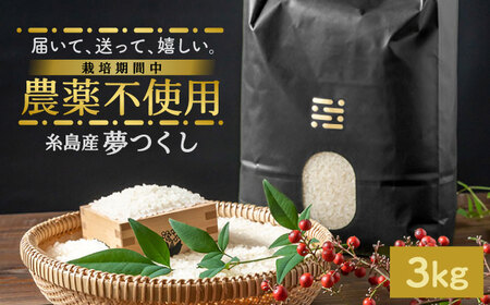 農薬を使わずに育てた 山つき 3kg 夢つくし 吉富町/(株)やました[BGBX009]