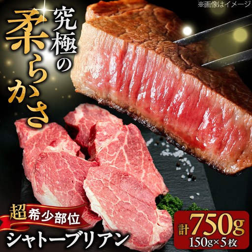 【希少部位！】博多和牛 シャトーブリアン 150g×5枚 （計750g）吉富町/肉のくまもと屋[BGBY038]