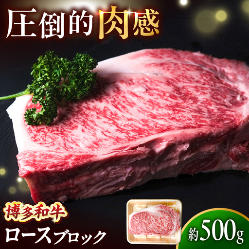 博多和牛 牛肉 ロース ブロック 500g [BGBY009] ロース ブロック肉