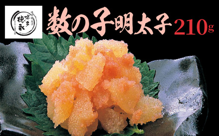 i ̎qq 210g _KHT0806