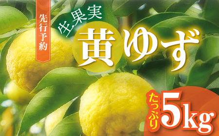 󂠂 䂸 ʎ Ղ5s_MM0106