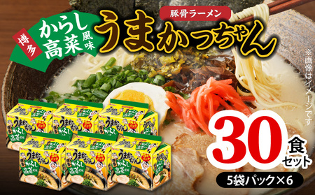 豚骨ラーメン うまかっちゃん 博多からし高菜風味 30食セット（5袋パック×6セット） PC8706