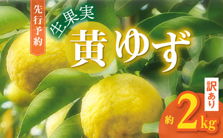 󂠂 䂸 ʎ 2kg_MM0107