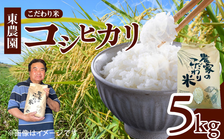 [先行受付]令和7年産 上毛町産 東農園のこだわり米 コシヒカリ 5kg 