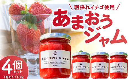 あまおうのトロジャム4個セット _R00107