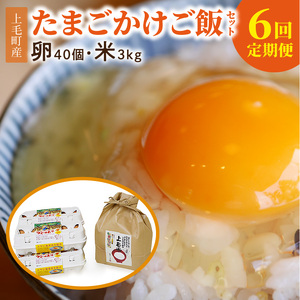 【定期便】上毛町産の「たまごかけご飯セット」（卵40個・米3kg）（専用醤油なし版）6回（毎月）コース _07T-002