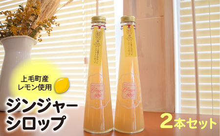 [上毛町産レモン使用]ジンジャーシロップ 2本セット
