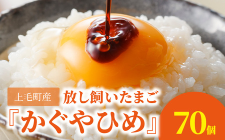 ܂wЂ߁x70yђYz_C00801