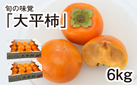 旬の味覚「大平柿」6kg