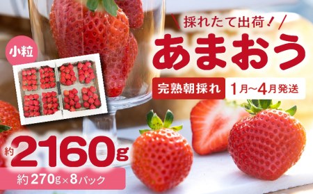 [完熟朝採れ]福岡県産ブランドいちご あまおう(小粒、約270g×8パック)