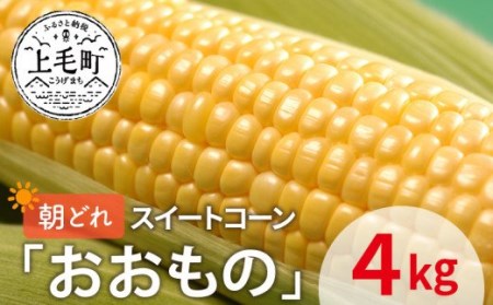先行受付 朝どれスイートコーン「おおもの」4kg[産地直送・数量限定]
