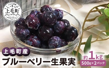 [叶え屋] 上毛町産 ブルーベリー 生果実 500g×2パック