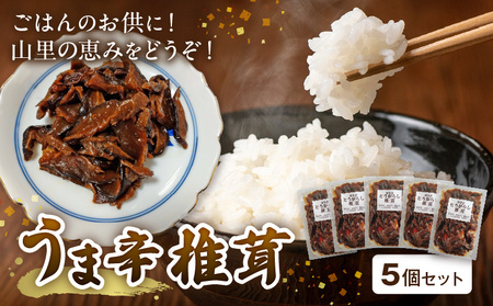 山里の恵み!うま辛椎茸5個セット_T05804