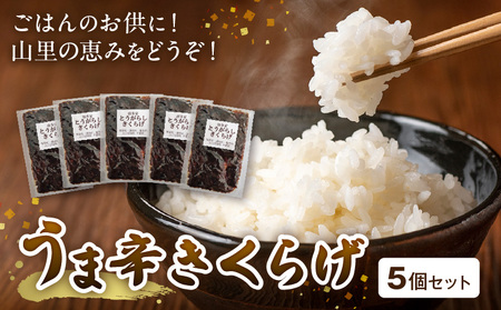 山里の恵み!うま辛きくらげ5個セット_T06004