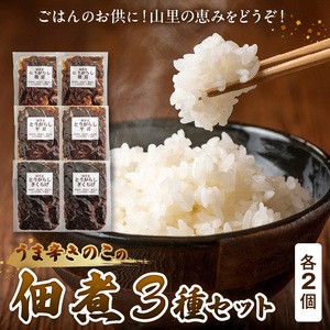 上毛町産　うま辛きのこの佃煮3種（椎茸・平茸・きくらげ）×2セット_T06204