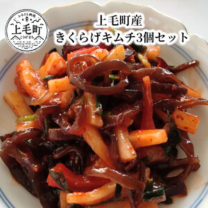 上毛町産 きくらげキムチ3個セット_T06304