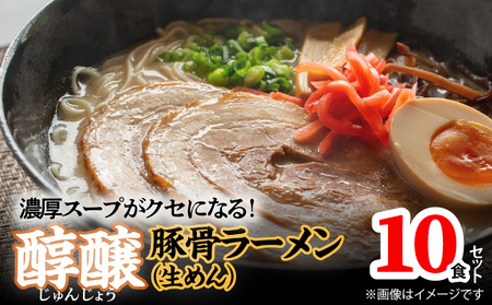 濃厚スープがクセになる!醇醸豚骨ラーメン10食(生めん)PC0505